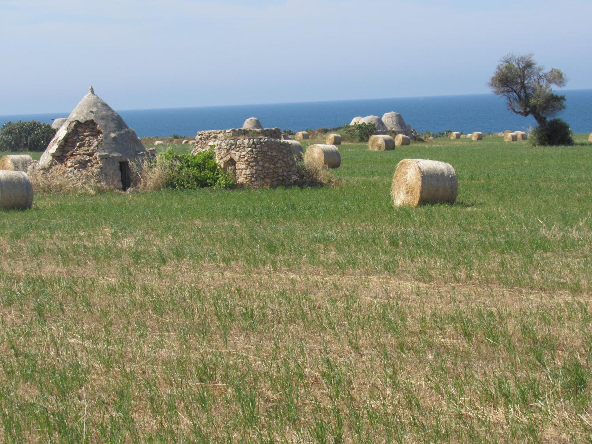 Nisea Apartment Polignano a Mare Luaran gambar